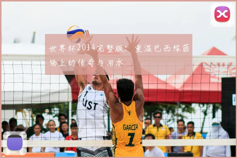 世界杯2014完整版：重温巴西绿茵场上的传奇与泪水