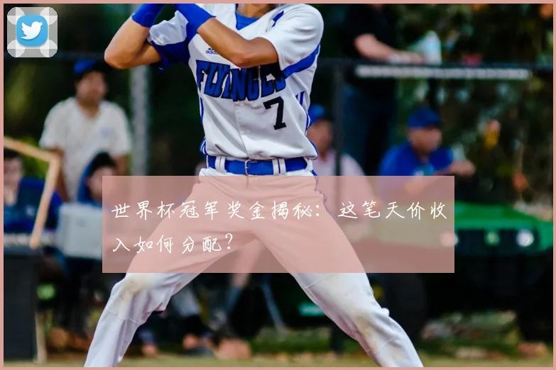 世界杯冠军奖金揭秘:这笔天价收入如何分配?