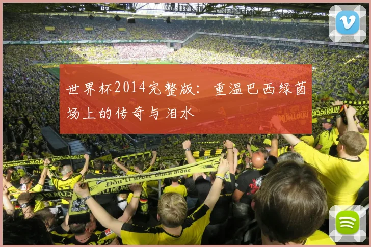 世界杯2014完整版：重温巴西绿茵场上的传奇与泪水